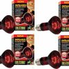 Reptiles & Amphibian Exo Terra | Exo Terra Heat-Glo Infrared Spot Lamp, 50-Watt/120-Volt (4 Pack)