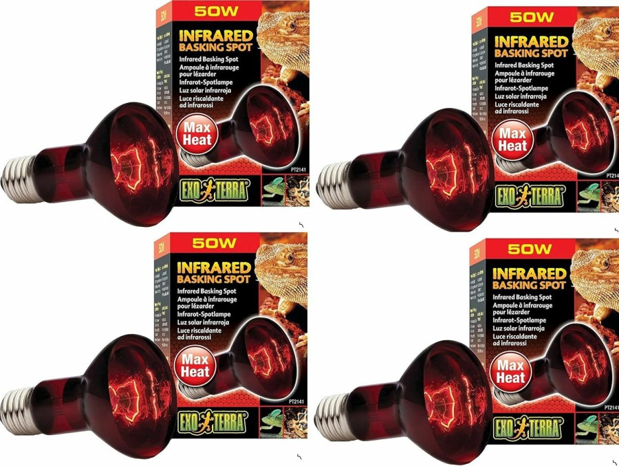 Reptiles & Amphibian Exo Terra | Exo Terra Heat-Glo Infrared Spot Lamp, 50-Watt/120-Volt (4 Pack)