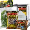 Reptiles & Amphibian Zoo Med | Zoo Med Creatures Creature Habitat Kit 1 Count - Pack Of 12