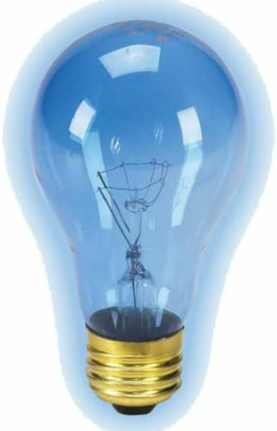 Reptiles & Amphibian Zilla | Day Blue Light Incandescent Bulb