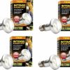 Reptiles & Amphibian Exo Terra | Exo Terra Sun-Glo Basking Infrared Spot Lamp, 75-Watt/120-Volt (4 Pack)