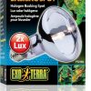 Reptiles & Amphibian Hagen | Exo Terra Sun-Glo Daylight Halogen Lamp, 150-Watt