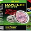 Reptiles & Amphibian Exo Terra | Exo Terra Daylight Led Spot Nano, Reptile Terrarium Light Bulb