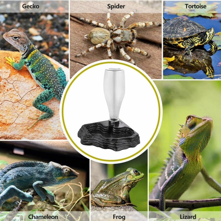 Reptiles & Amphibian POPETPOP | Popetpop Reptile Water Feeder - Automatic Water Dispenser Waterer Feeding Accessories For Turtle Frog Bearded Dragons Lizards Geckos For Terrarium Tank - Grey