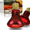 Reptiles & Amphibian LEDBOKLI | Ledbokli Heat Lamp Bulbs, Reptile Heat Lamp 75 W Heat Lamp Red Infrared Bulbs For Pets, Heat Bulb E26 Heat Lamp 110 V For Chickens, Snake, Lizard, Spider - Black 2 Pack