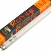 Reptiles & Amphibian LUCKY HERP | Lucky Herp 10.0 Fluorescent Desert Terrarium Bulb Lamp Tube,T8,18 Watt,24 Inches