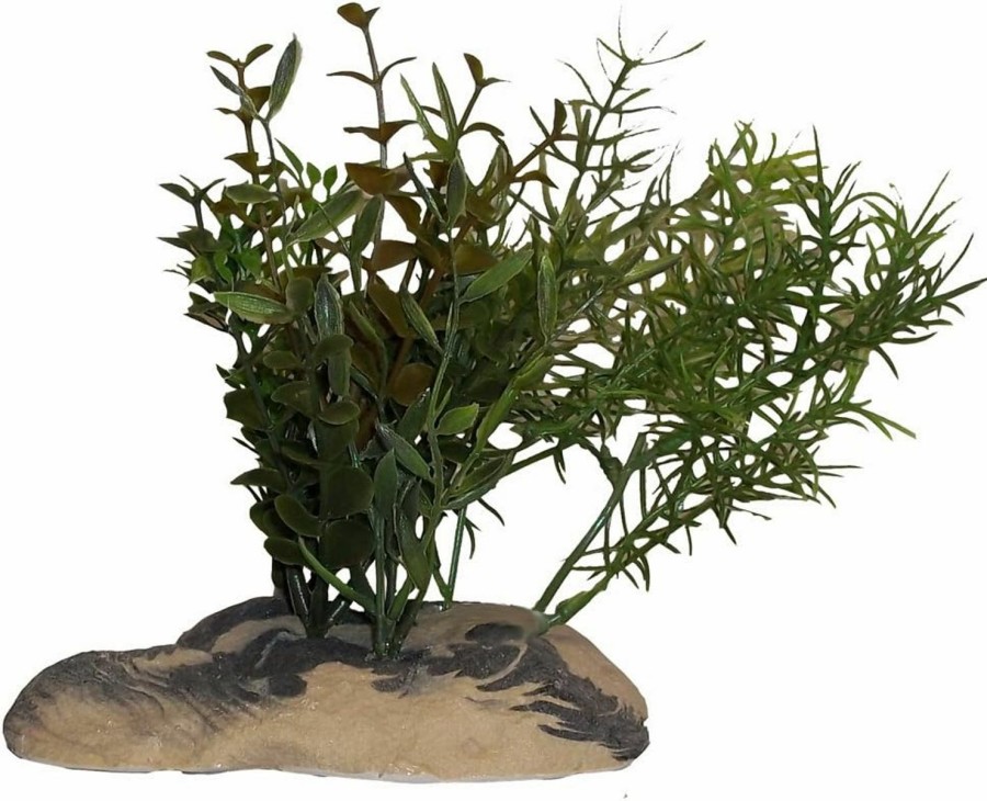 Reptiles & Amphibian Rock Garden | Rock Garden 6\" Natural Green Plant With Decorative Resin Base, Large