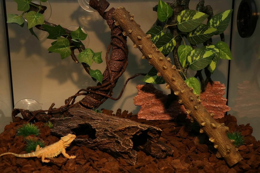 Reptiles & Amphibian AQUA KT | Aqua Kt Reptile Hideout Tree Trunk Hollow Log Cork Bark For Lizard Bearded Dragon Snake Chameleon Hermit Crab Leopard Gecko Terrarium Habitat Decoration