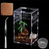 Reptiles & Amphibian TREELF | Treelf Micro Habitat Glass Container Reptile Terrarium,Amphibian Tank Starter Kit(4Pc Set) Ideal For Snails, Beetles, Spiders, Chameleons, Geckos, Scorpions(8 * 4.7 * 4.7 Inches)