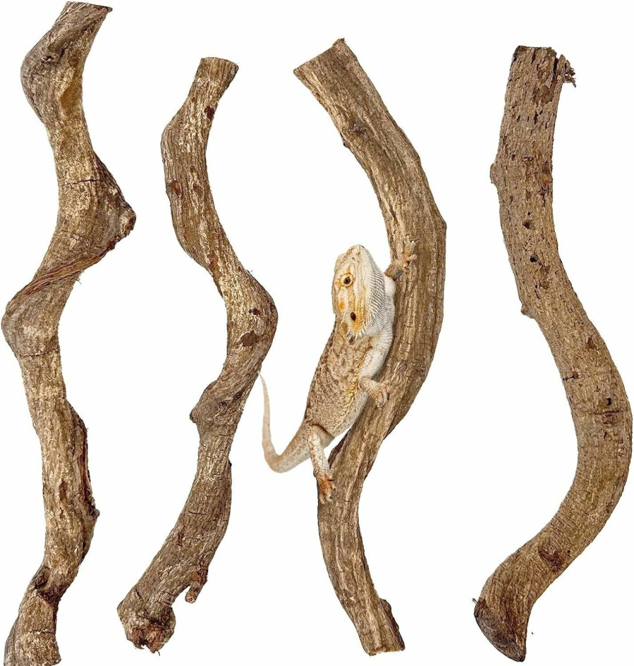 Reptiles & Amphibian Apatal | Apatal Reptile Branch Decor Snake Climbing Wood Branches Lizard Habitat Decorations Terrarium Wooden Tree Trunk Ornament For Bearded Dragon Snake Geckos Chameleon Frog Pack Of 4 (M