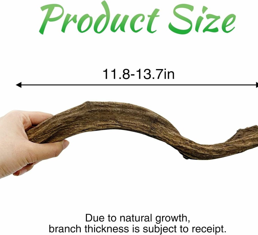 Reptiles & Amphibian Apatal | Apatal Reptile Branch Decor Snake Climbing Wood Branches Lizard Habitat Decorations Terrarium Wooden Tree Trunk Ornament For Bearded Dragon Snake Geckos Chameleon Frog Pack Of 4 (M