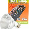 Reptiles & Amphibian Pangea | Pangea Halogen Heat Lamp For Reptiles (75 Watt)