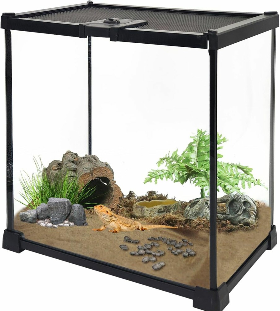 Reptiles & Amphibian PINVNBY | Mini Reptile Glass Terrarium Tank 7.9\"X7.9\"X5.7\" Micro Habitat Terrarium Enclosure Amphibians Tank Cage Full View Visually Appealing For Small Reptiles, Amphibians, Spiders And Other Invertebrates