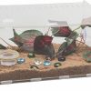 Reptiles & Amphibian yzexi | Yzexi Magnetic Acrylic Reptile Cage,12X8X6 Inch Breeding Box Terrarium Tank,Clear Feeding Habitat For Tarantula Scorpion Sling Isopods Lizards Roach Invertebrates Insect Mantis Transparent