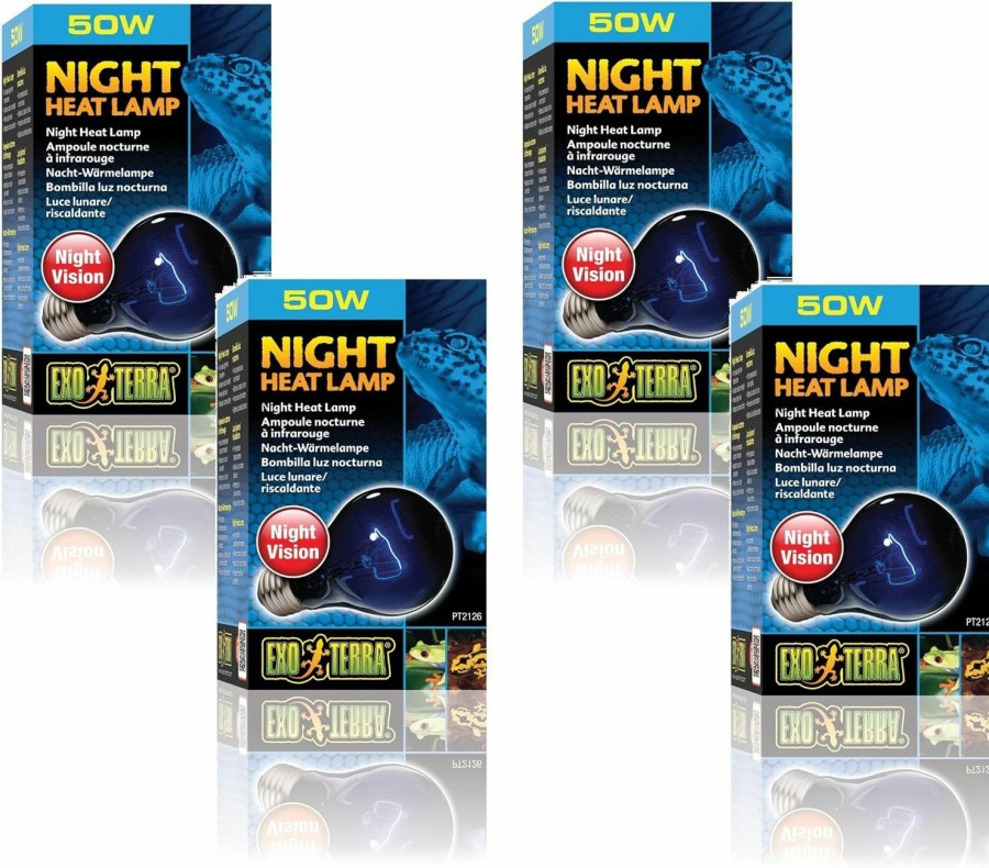 Reptiles & Amphibian Exo Terra | Exo Terra Night-Glo Moonlight A19 Lamp, 50-Watt (4 Pack)