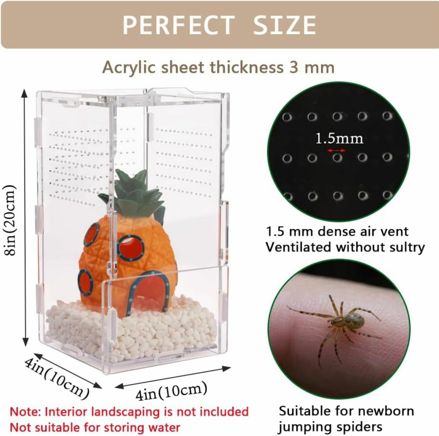 Reptiles & Amphibian LEIZHENZI | Jumping Spider Enclosure,8X4X4In Vertical Acrylic Jumping Spider Habitat,Acrylic Terrarium For Small Reptiles And Invertebrates, Mantis, Spider, Cricket, Tarantula