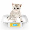 Reptiles & Amphibian MINDPET-MED | Digital Baby Scale For Pets, Accuracy 1G/0.035Oz, Measuring Range 0.1Oz-33Lbs,Unit G/Kg/Lb/Oz/Tl/Ml, Suitable For Kitten Puppy Rabbit Tortoise Snake Etc