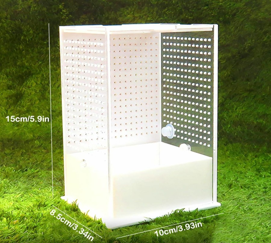 Reptiles & Amphibian OMEM | Omem Reptile Breeding Box, Insect Incubator, For Orchid Mantis, African Phantom Mantis, Reptile Resting Habitat And Entertainment