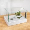 Reptiles & Amphibian BETAZOOER | Betazooer Turtle Tank With Adjustable Water Pump Filter, Full View Visually Tortoise Aquarium Habitat, Glass Material Easy Changing Water&Clean For Small Amphibious Creatures Reptiles 15.7\" 11.8\" 10\"