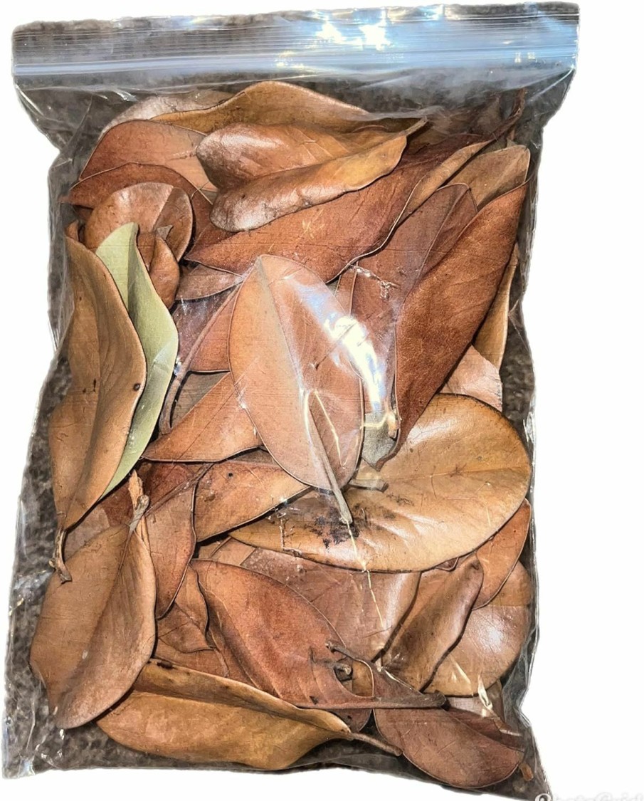 Reptiles & Amphibian Generic | Magnolia Leaf Small Bag 9X12