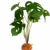 Reptiles & Amphibian YOGURTCK | Yogurtck Reptile Artificial Plants, Amphibian Habitat Hideout, Terrarium Decorations - Peperomia Watermelon