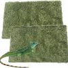 Reptiles & Amphibian kathson | Kathson 2 Pcs Reptile Carpet Mat Terrarium Bedding Substrate Liner Mat Imitation Rainforest Crawler Mats For Snakes Bearded Dragon Gecko Chameleon Turtles Iguana