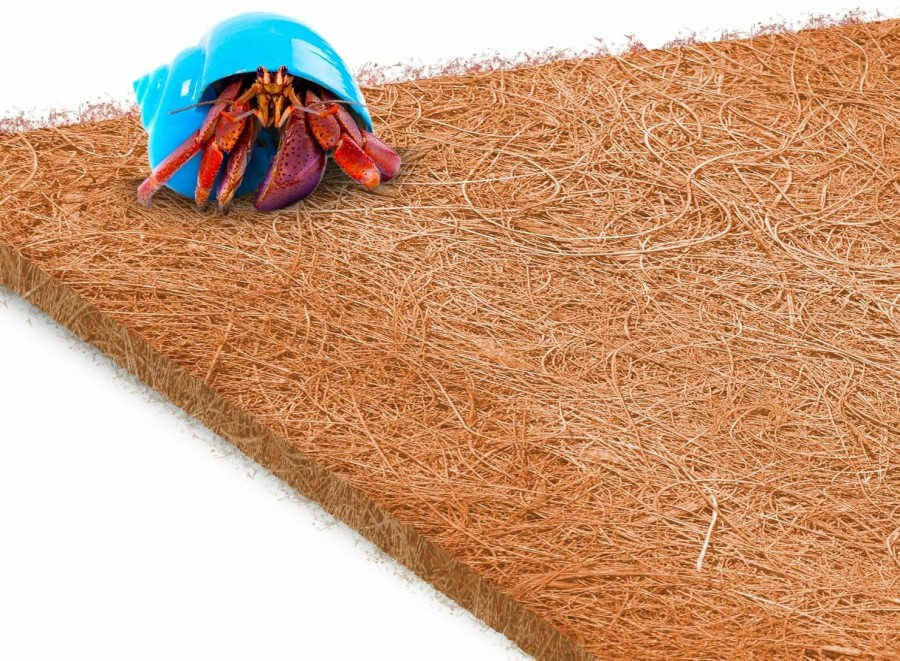 Reptiles & Amphibian SunGrow | Sungrow Coco Fiber Hermit Crab & Reptile Carpet, Gecko Terrarium Liner, And Floor Bedding Substrate & Supplies, Climbing Wall Carpet & Mat For Hermit Crabs, 10\" X 13\", 1 Piece Per Pack