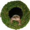 Reptiles & Amphibian USMOLA | Usmola Mossy Caves, Artificial Green Moss Caves Hide For Pet Reptile Frogs And Snakes, Terrarium & Vivarium Decor, Crested Gecko Tank Decor (4\" - Woodland Green)