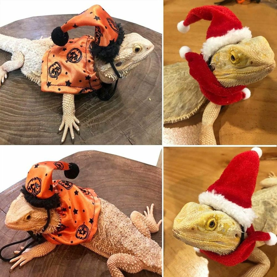 Reptiles & Amphibian ADOGGYGO | Adoggygo Bearded Dragon Halloween Hat Cloak Lizard Christmas Hat Scarf Set, Small Animal Halloween Christmas Festival Costume (Halloween & Xmas)