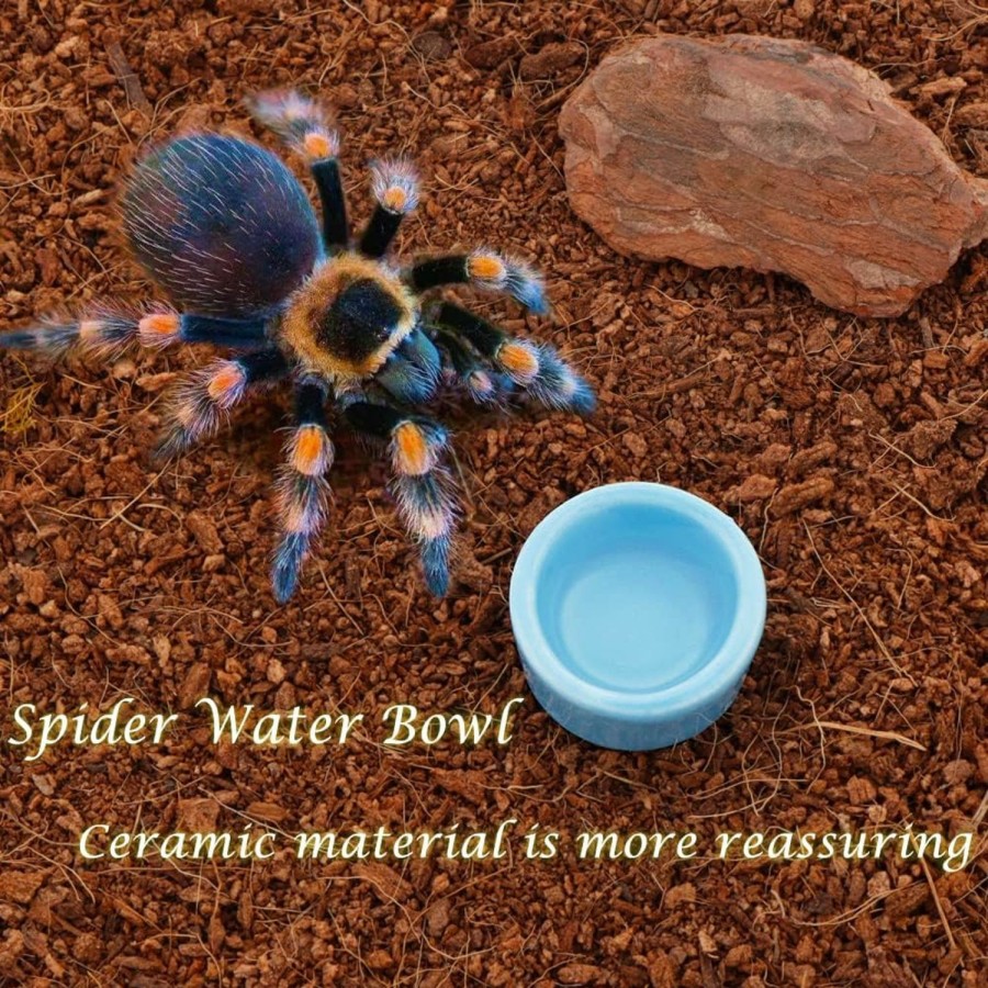 Reptiles & Amphibian DQITJ | 9 Pcs Spider Ceramic Water Bowl Tarantula Mini Dish For Tarantula Spider Millipede Tiny Bugs Terrarium Accessories (Blue)