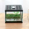 Reptiles & Amphibian crapelles | Crapelles Pac Frogs Glass Terrarium Feeding Kit Tank, Waterproof,For Small Amphibians, Insect, Horned Frogs. Waterweed/Prairie Style Habitat,With Green Artificial Turf Pad, (Excluding Animals)