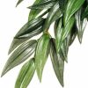 Reptiles & Amphibian Exo Terra | Exo Terra Silk Terrarium Plant, Large, Ruscus