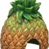 Reptiles & Amphibian Exo Terra | Exo Terra Tiki Pineapple Hide