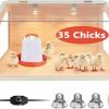 Reptiles & Amphibian koretech | Koretech Intelligent Brooder Box With Built-In Heating Lamps Chick Brooder Box For Small Animals (24 X 15 X 15 Inch (Up To 35 Chicks))