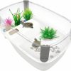 Reptiles & Amphibian Hamiledyi | Hamiledyi Small Turtle Tank Aquarium Terrapin Terrarium Turtle Habitat With Basking Platform Baby Turtle Tank For Turtles Terrapins Crayfish Hermit Crabs Lizard And Other Small Sized Reptiles