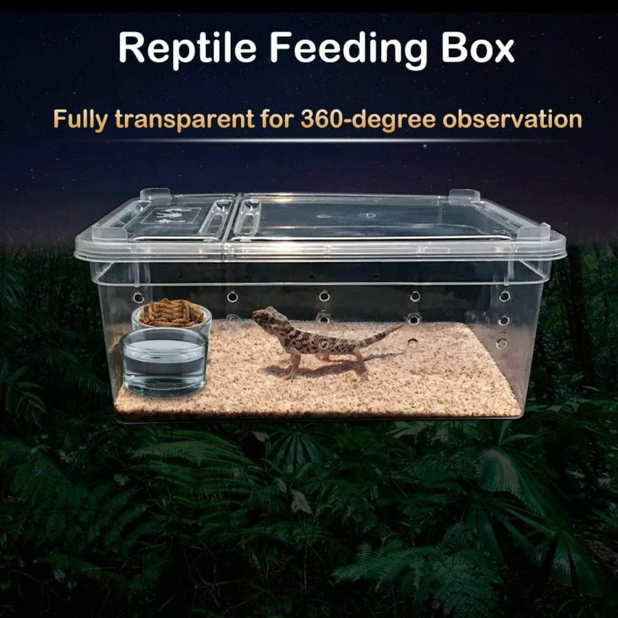 Reptiles & Amphibian DQITJ | 8 Pcs Reptile Feeding Box Snake Plastic Transparent Breeding Box For Bearded Gecko Dragon Lizard Spider Frog Scorpion (2 Pcs Large Size, 6 Pcs Small Size)