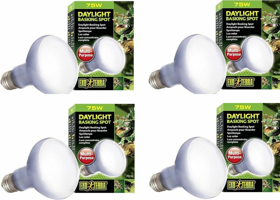 Reptiles & Amphibian Exo Terra | Exo Terra Daylight Basking Spot Lamp, 75W