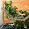 Reptiles & Amphibian Jetec | Reptile Lizard Habitat Accessories Include 29.52 X 7.08 Inch Lizard Hammock, Jungle Climber Vines Flexible Leaves Habitat Reptile Decor With Suction Cups For Bearded Dragons Iguanas And Other Reptiles