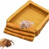 Reptiles & Amphibian Neeenn | Hermit Crab Water Tank, Resin Hermit Crab Water Pool, Hermit Crab Habitat, Hermit Crab Supplies, Aquarium Tank Cage Accessories For Small To Medium Hermit Crab