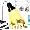 Reptiles & Amphibian AquariumBasics | Reptile Heat Lamp Light, Uva Uvb Reptile Light, Reptile Turtle Heating Lamps For Turtles Tortoise Lizards Snake Bird Or Chick One Terrarium Lamp Light +Two 25W Bulb+2 Clip+1Tweezer