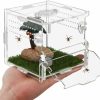 Reptiles & Amphibian NENHEIONI | Reptile Terrarium,Tarantula Enclosure,Jumping Spider Enclosure For Tarantula Scorpion Sling Isopods Snail Reptile Invertebrates Accessories(4\" X4 X4 )