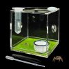 Reptiles & Amphibian GKPONSX | Gkponsx Acrylic Jumping Spider Enclosure, Spider Terrarium Accessories With Bowls Tongs Dropper For Snail Tarantula Scorpion Praying Mantis Isopods Insects