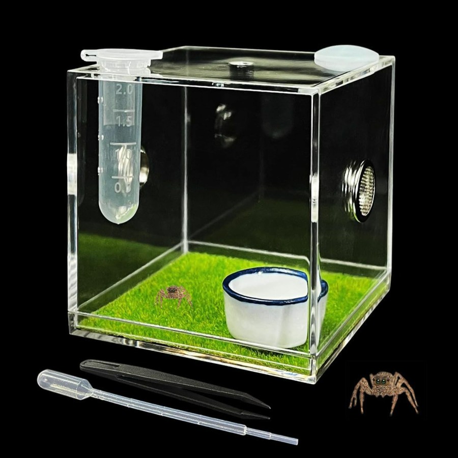 Reptiles & Amphibian GKPONSX | Gkponsx Acrylic Jumping Spider Enclosure, Spider Terrarium Accessories With Bowls Tongs Dropper For Snail Tarantula Scorpion Praying Mantis Isopods Insects