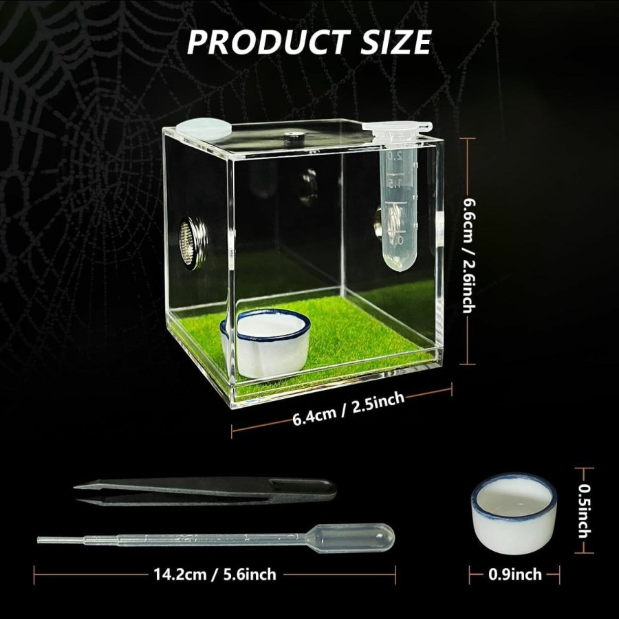 Reptiles & Amphibian GKPONSX | Gkponsx Acrylic Jumping Spider Enclosure, Spider Terrarium Accessories With Bowls Tongs Dropper For Snail Tarantula Scorpion Praying Mantis Isopods Insects