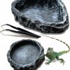 Reptiles & Amphibian AcceLeah | Reptile Feeding Dish Water Bowls 2 Pack Food Dish Water Dish Reptile Dish With Breadworm Feeding For Dragon Leopard Gecko Lizard Spider Scorpion Chameleon(2 Pcs Deep Color)