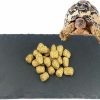 Reptiles & Amphibian Tfwadmx | Tfwadmx Reptile Basking Platform Tortoise Feeding Dish Natural Rock Food Bowl Landscape Habitat Decor For Turtle Lizard Bearded Dragon Crested Gecko Snake 2Pcs