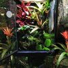 Reptiles & Amphibian Zoo Med | Zoo Med Paludarium Habitat Kit - 12\" X 12\" X 24\"