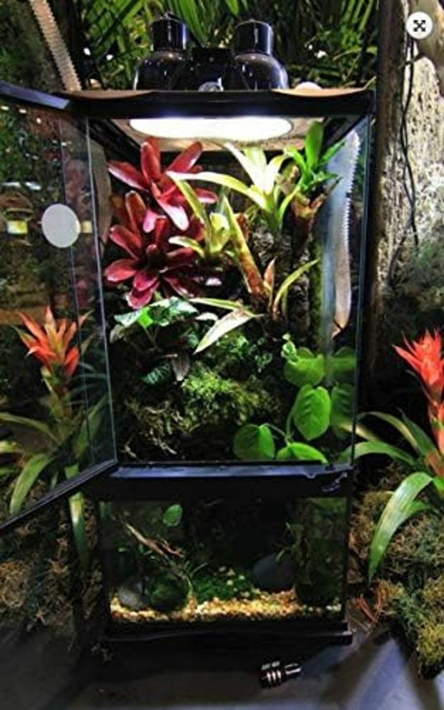 Reptiles & Amphibian Zoo Med | Zoo Med Paludarium Habitat Kit - 12\" X 12\" X 24\"