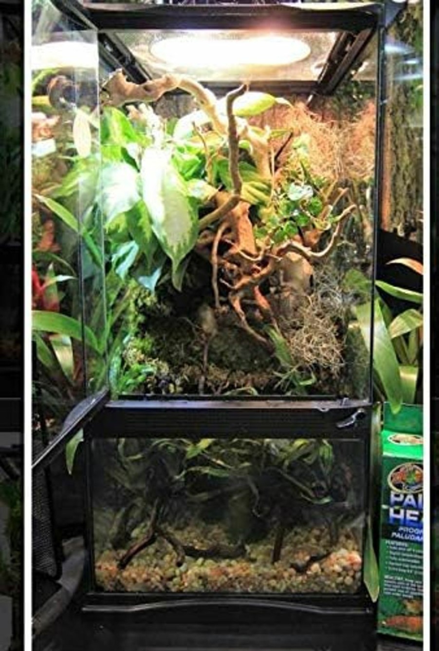 Reptiles & Amphibian Zoo Med | Zoo Med Paludarium Habitat Kit - 12\" X 12\" X 24\"