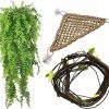 Reptiles & Amphibian PINVNBY | Pinvnby Bearded Dragon Tank Accessories,Reptile Plants Hanging Climbing,Lizards Habitat Natural Seagrass Hammock And Artificial Bendable Vines Branch For Chameleon Geckos Snake And Hermit Crabs